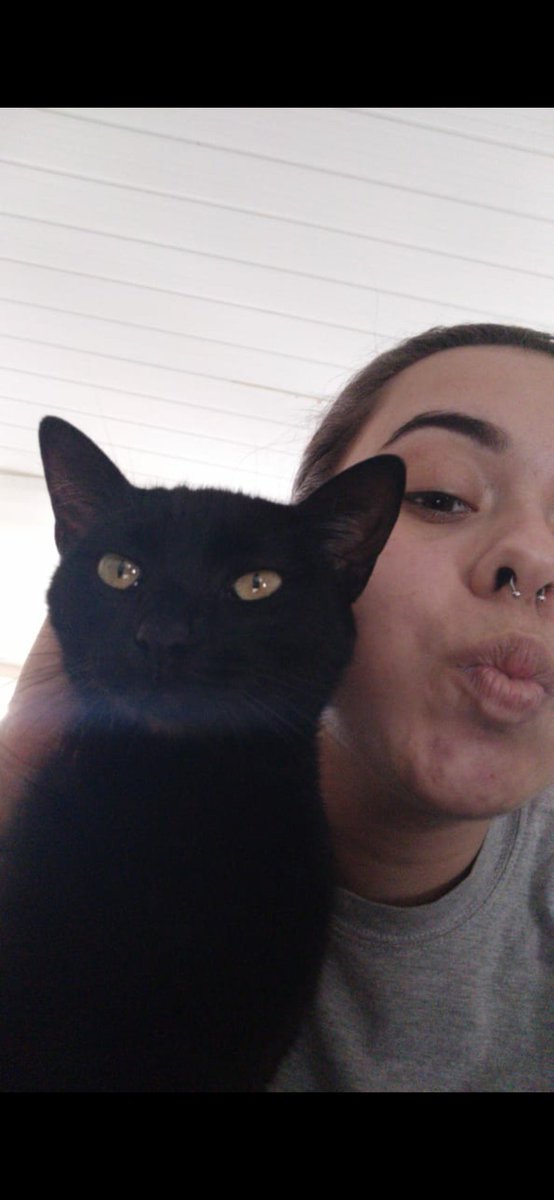 BurunaGalli's tweet photo. Logo mais irei fazer posts para expor a ASSASSINA da minha gata e peço para que todo mundo compartilhe para que chegue ate as autoridades e ela sofra as consequências de tirar a vida de um ser indefeso a sangue frio. 
Sei que nao tenho muitos seguidores porém preciso desse apoio. https://t.co/xPYPU2S0WT