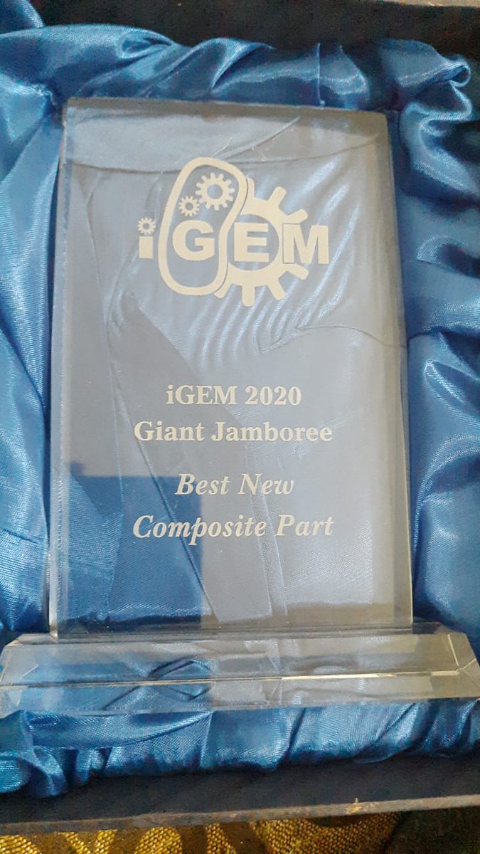 iGEM 2020 ended with setting a benchmark for our future teams!

We received our <a href="/iGEM/">iGEM Headquarters</a> awards finally. Never too late for the update🎉🎉🎉

<a href="/AfteriGEM/">After iGEM</a>
