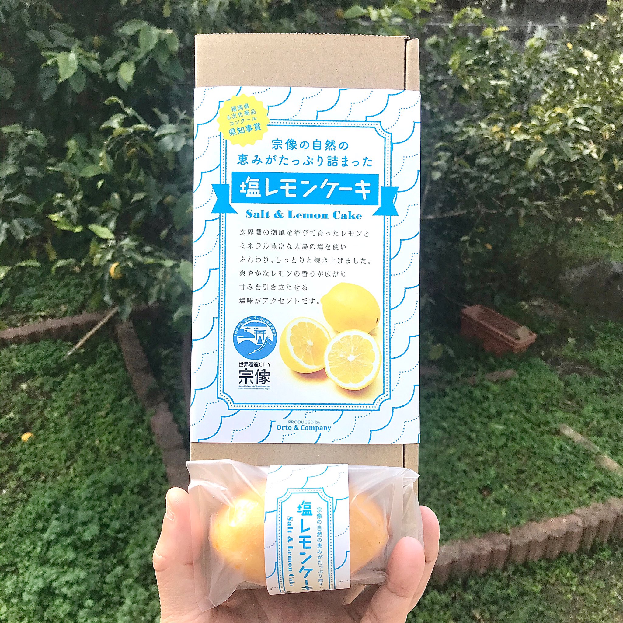 市場 セール開催中 オルトアンドカンパニー 宗像の自然の恵みがたっぷり詰まった 2箱セット 塩レモンケーキ 送料無料