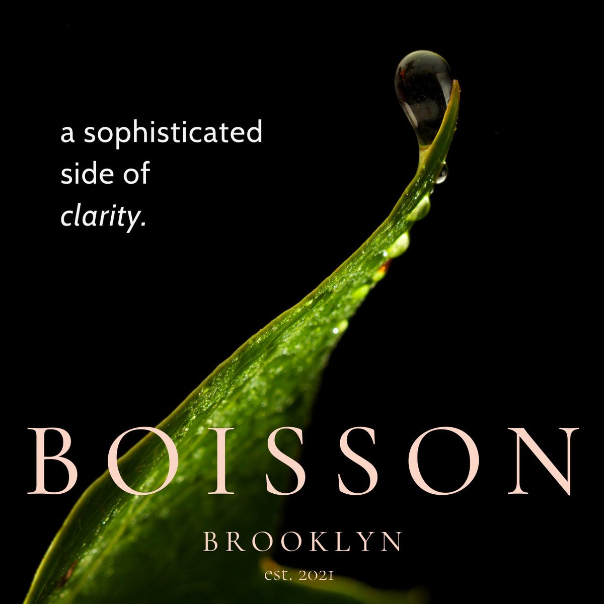 Coming soon to beautiful #Brooklyn. 
#Boisson #alcoholfree #zeroproof #clarity #clear