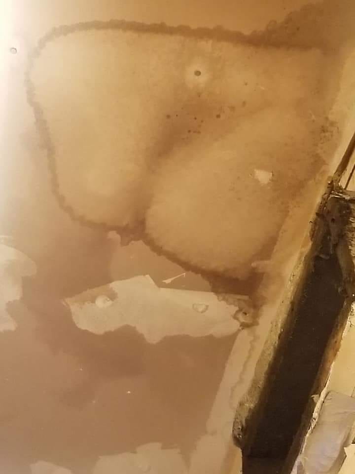 LauraGellerTV's tweet image. At 11: ‘We think we’re going to get this fixed’ Congress continues to address concerns military families brought to @wusa9. They're hoping to protect military fams from dangers inside their homes, including mold, lead paint &amp;amp; rodents, &amp;amp; address the health impacts of living there.