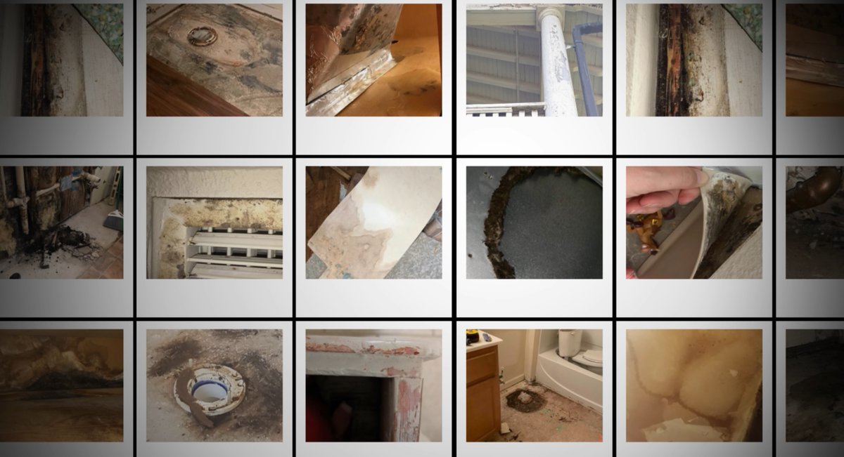 LauraGellerTV's tweet image. At 11: ‘We think we’re going to get this fixed’ Congress continues to address concerns military families brought to @wusa9. They're hoping to protect military fams from dangers inside their homes, including mold, lead paint &amp;amp; rodents, &amp;amp; address the health impacts of living there.