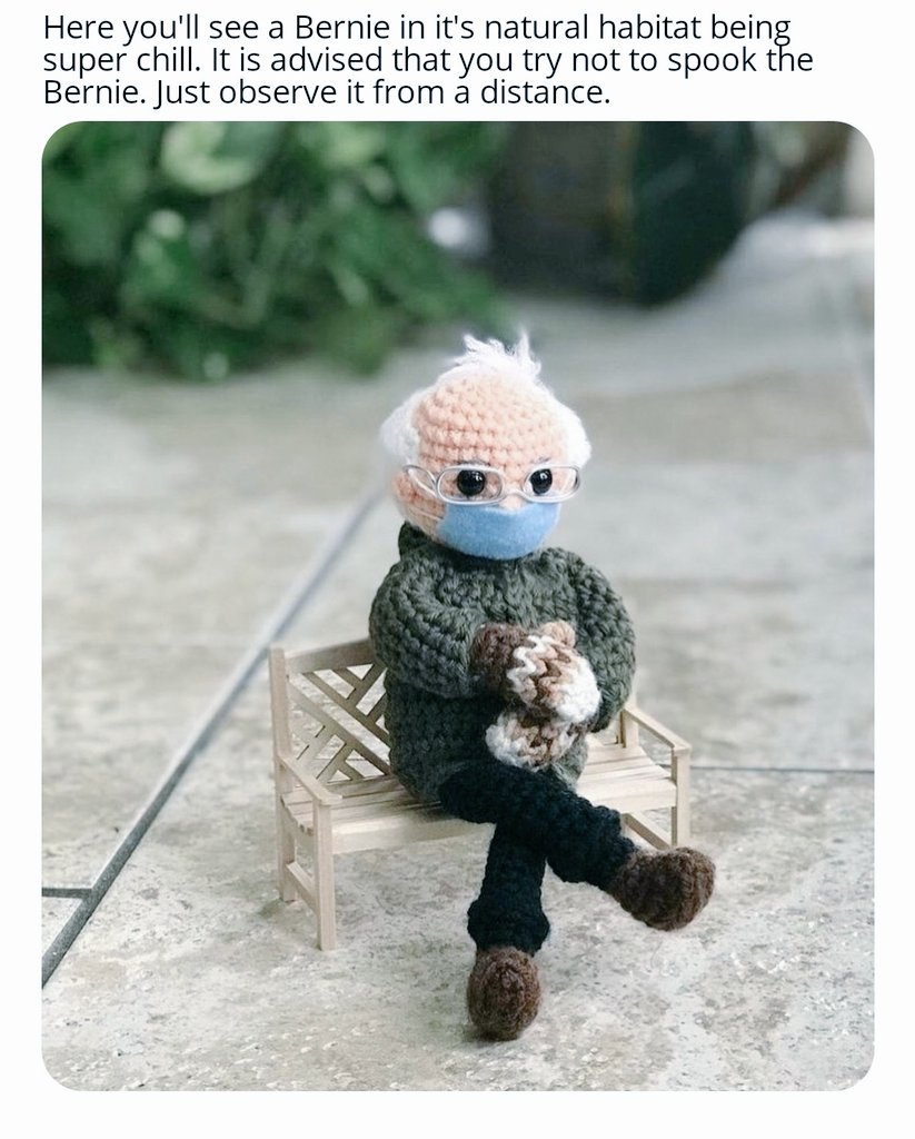 Traey Simpson tweet media