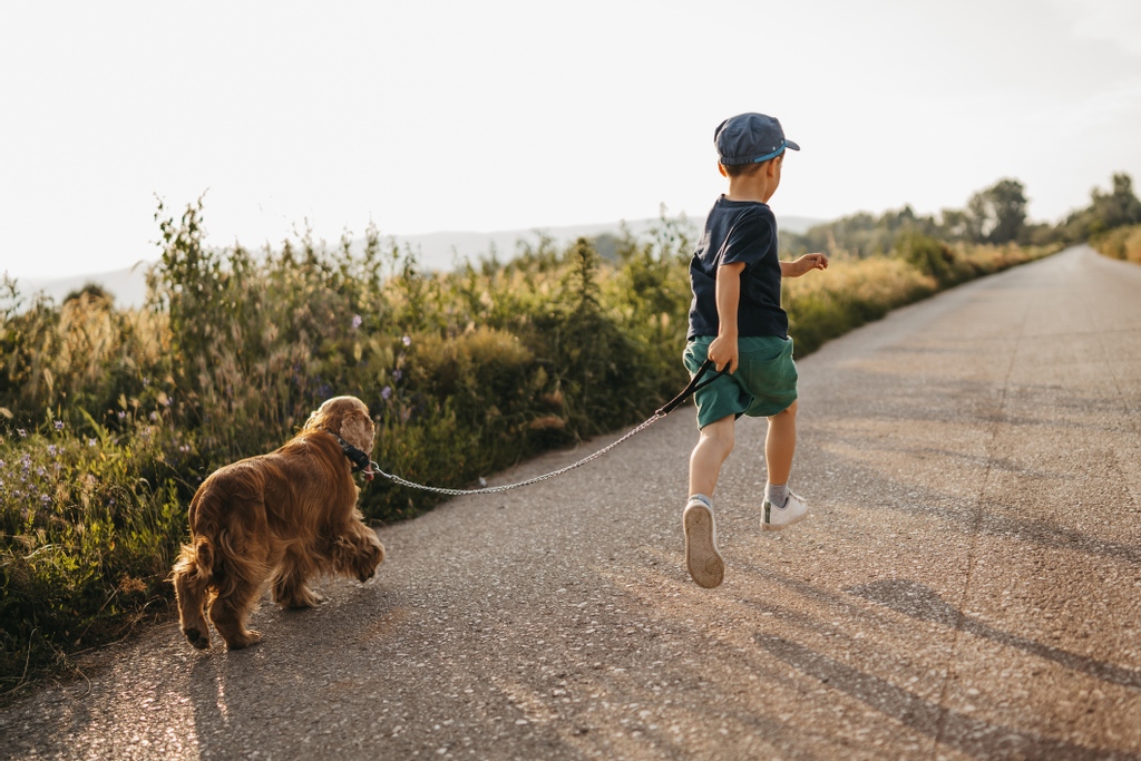 It’s never too early to show your kids the significance of exercise! According to the CDC, children ages 5-18 should do an hour of physical activity every day. Not only is it important for parents to exercise with their children to set an example, but adults need exercise too!