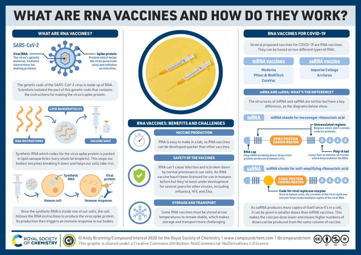 RoySocChem's tweet photo. Fantastic news coming from @BBCNews that the @moderna_tx #COVID19 #Vaccine appears to work against the UK and South African variants. 

Our explainer graphic, produced with @CompoundChem, shows how the mRNA vaccine works.

#MondayMotivation https://t.co/heenUlRk1C