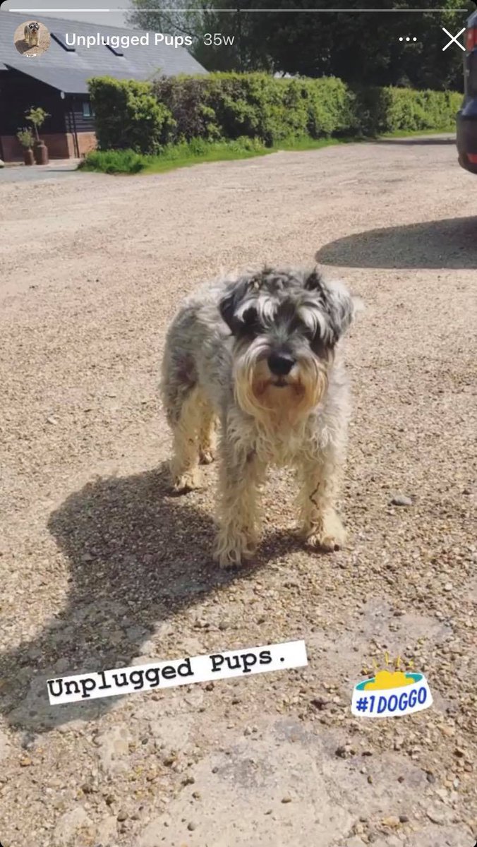 <a href="/unpluggedcabins/">Unplugged</a> offers digital detoxes in off-grid cabins an hour from London. Their Instagram persuades you to book a stay through honest guest reviews, and an Unplugged Pups series of pets who enjoyed the stay as much as their owners…