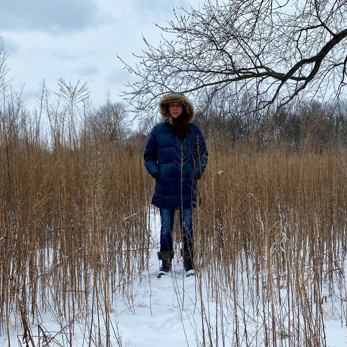 SiTE:LAB tweet media