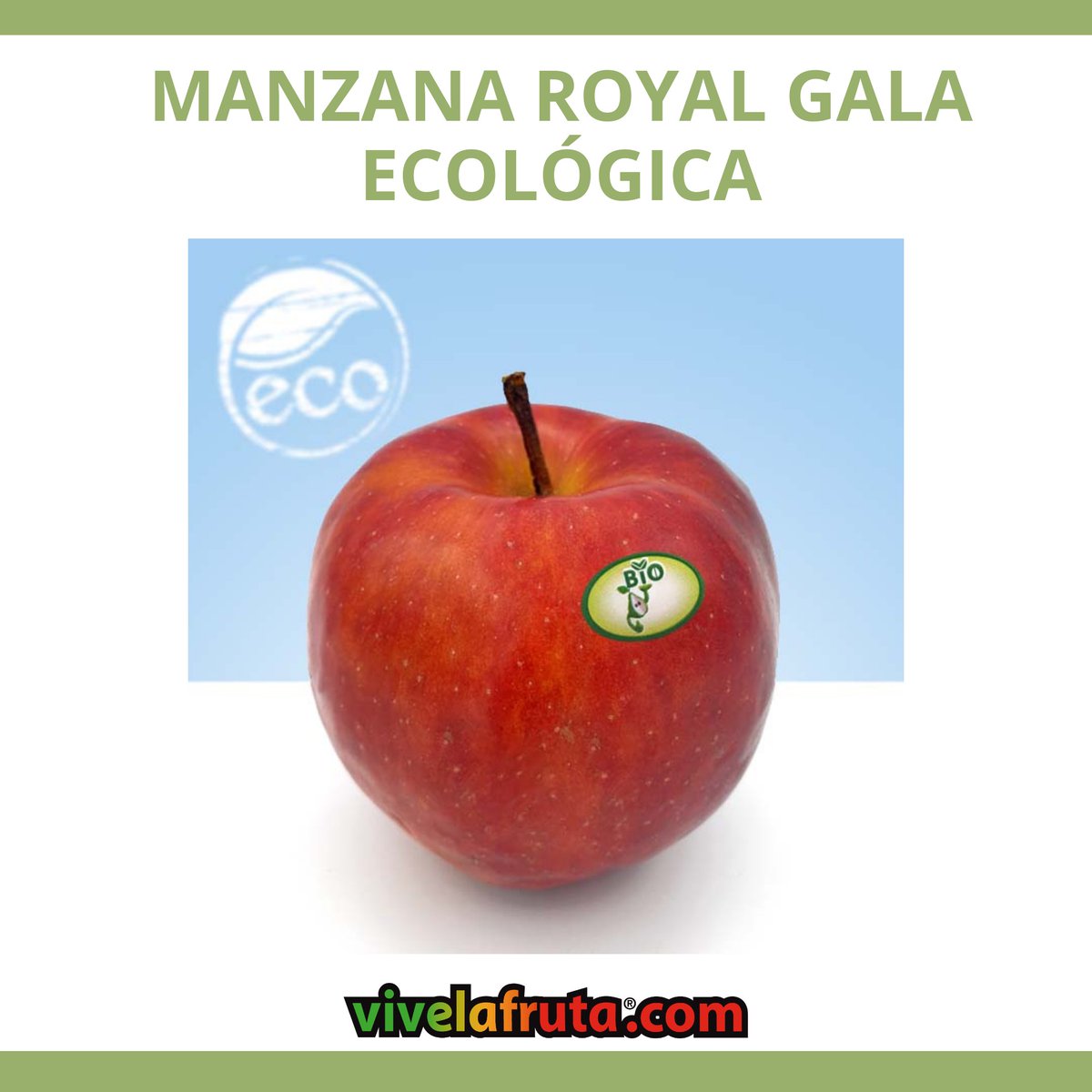 ViveLaFruta's tweet photo. ¡En https://t.co/muoOkTrrVf 💚#frutaecológica!
Bella, saludable y respetuosa.
🥝🍎🍏
¡A piezas sabe mejor!
Selecciona y personaliza tu cesta de fruta en https://t.co/XeiJyzNpPB.
¡Colorea tu vida! 
🌱🚜 https://t.co/rKGbdLDlKm