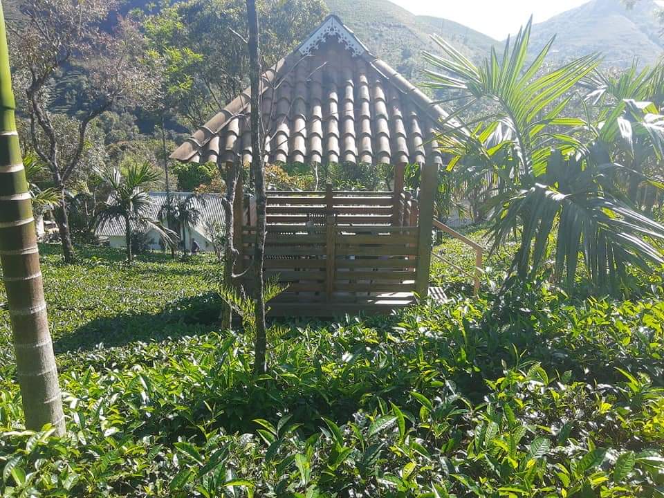 holidayvagamon's tweet photo. Lovely place that makes people admire  the ambience and  have an intense love for the algid climate. The resort provides  the best services in a very delightful way. The place you can  treasure  your moments. Book your favourite Holiday Vagamon. Call  +91-6235006699 https://t.co/53lPftmgD6