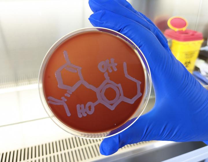 Genetic Engineering & Biotechnology News tweet media