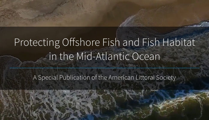 SARWINTERS's tweet photo. I'm excited to share a report I co-authored with my dear friend and colleague @EnviroPassion for the @littoralsociety about protecting #fish and fish habitat in light of climate change. https://t.co/jWD7gMF81D #HealthyOceans #ProtectFish https://t.co/lBRK2v6Dq0