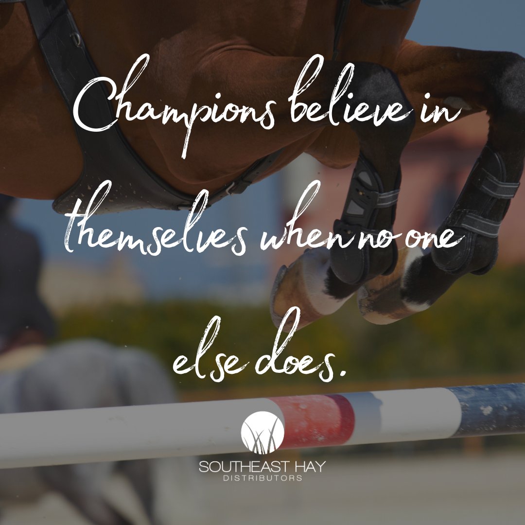 🏆 Happy Monday! 🏇