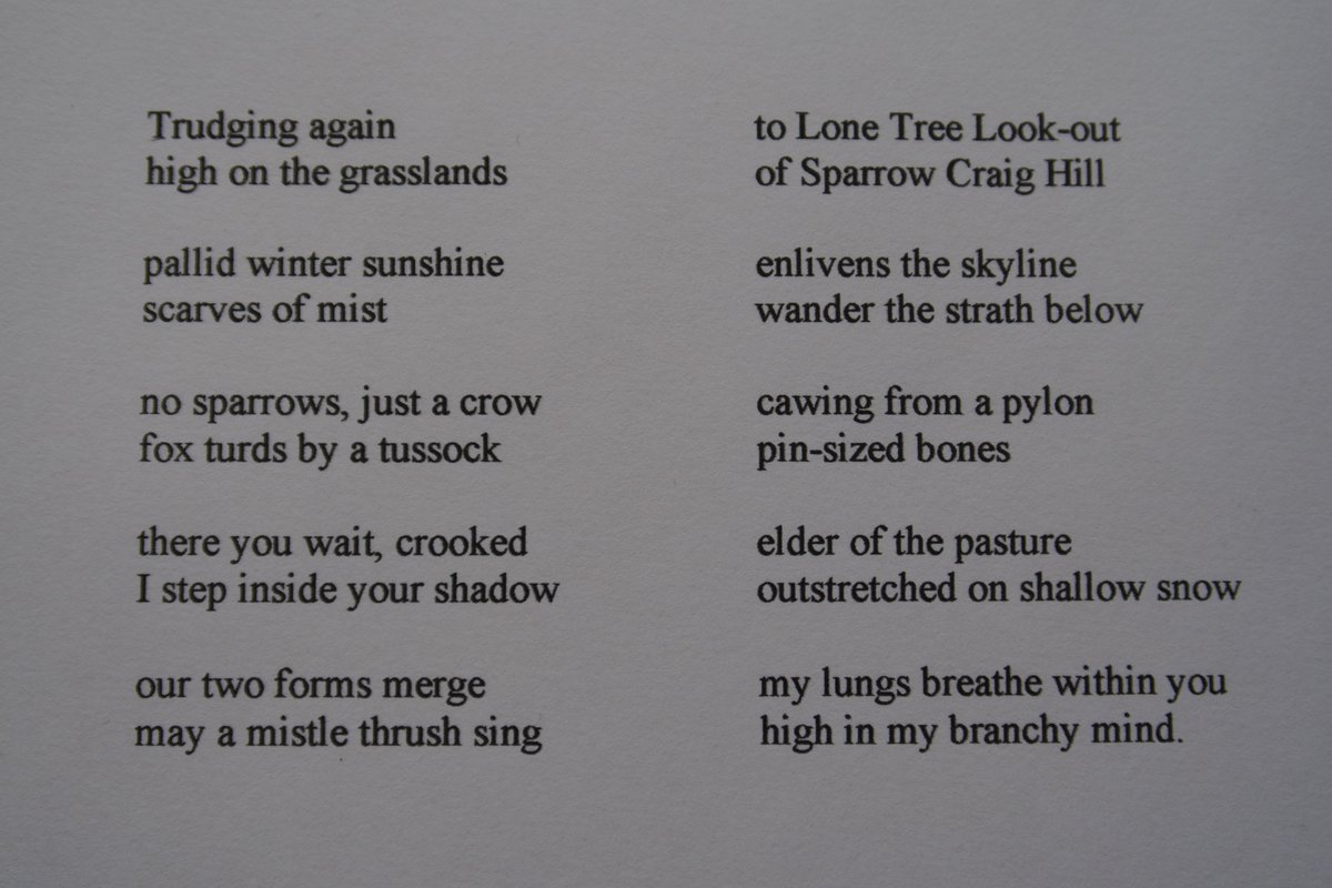 KathleenJamie's tweet photo. After a weepy morning missing folks and thinking This Will Never End, I made myself go out. Wrote a re-balancing poem. Feel better now. Hope we all will soon. Please click. https://t.co/mVhEvkAL9c