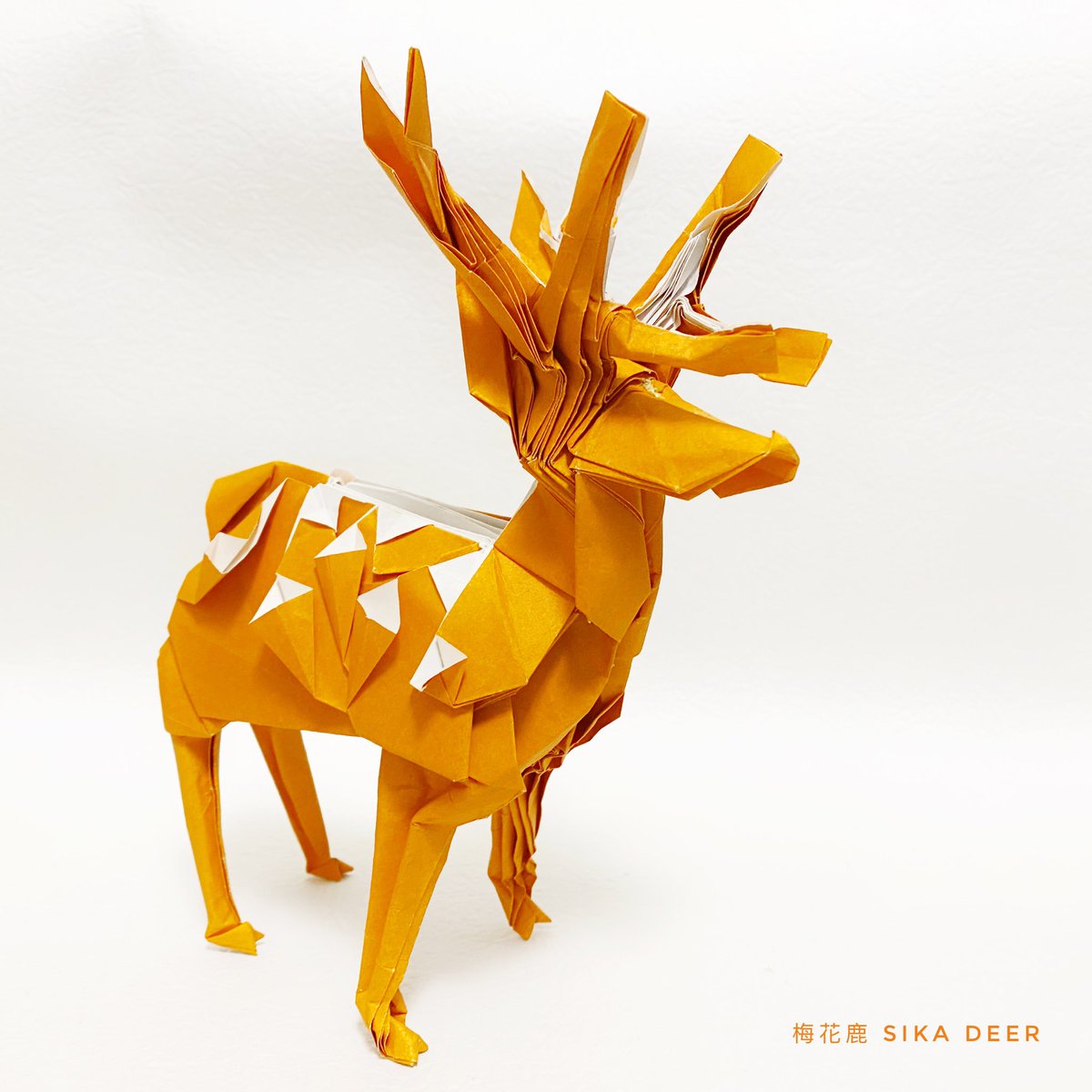 vincentpun2's tweet photo. #sikadeer 
Sika Deer 🦌 Meng Weining @212moving 
Uncut Squared Paper 70cm x 70cm 

#origami #摺紙 #摺紙藝術 #折り紙 #折り紙アート #折り紙リース #折り紙作品 #origamichallenge #origamicharacter #origamidragon #origamipeople #origamianimal https://t.co/GgVlWvlYw4