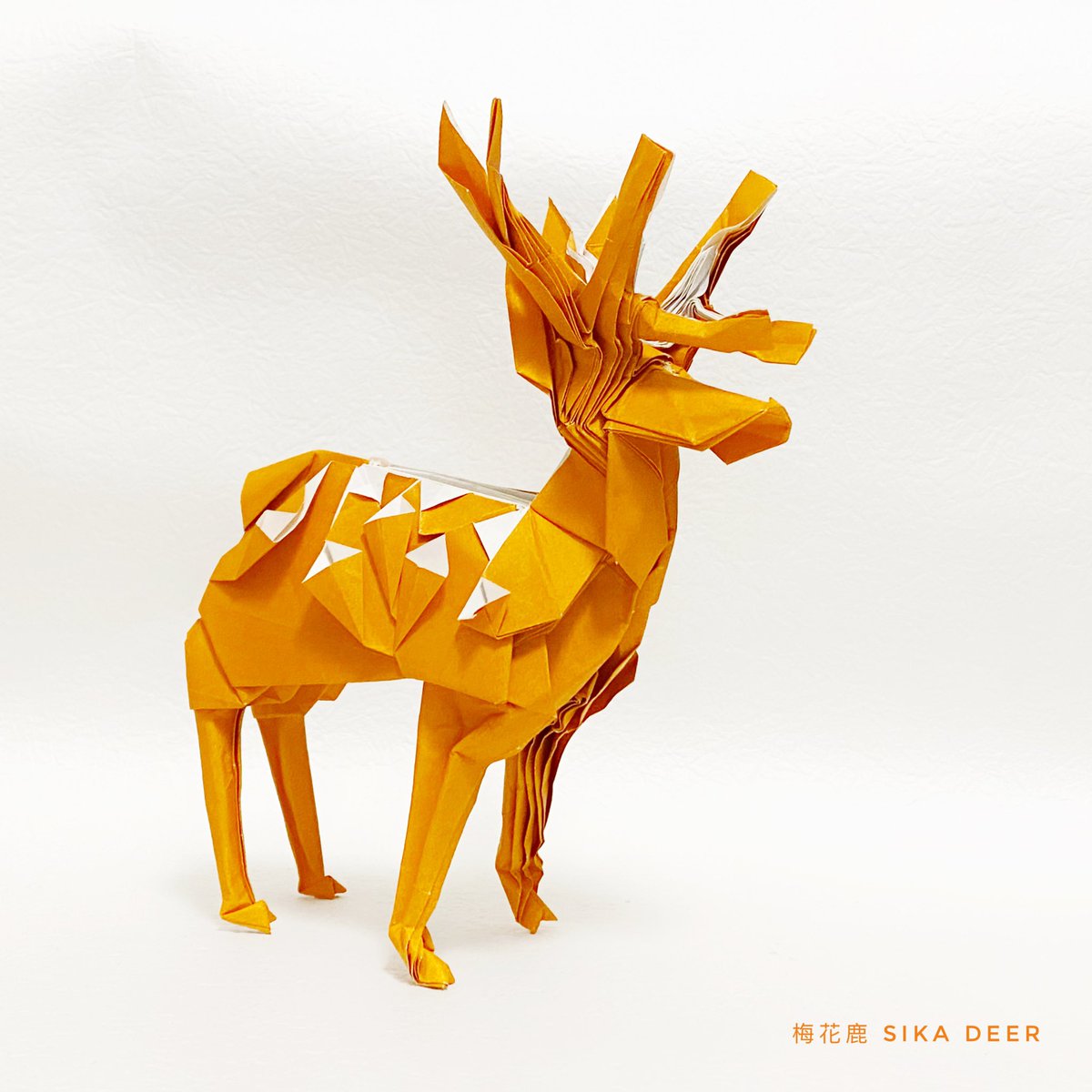 vincentpun2's tweet photo. #sikadeer 
Sika Deer 🦌 Meng Weining @212moving 
Uncut Squared Paper 70cm x 70cm 

#origami #摺紙 #摺紙藝術 #折り紙 #折り紙アート #折り紙リース #折り紙作品 #origamichallenge #origamicharacter #origamidragon #origamipeople #origamianimal https://t.co/GgVlWvlYw4