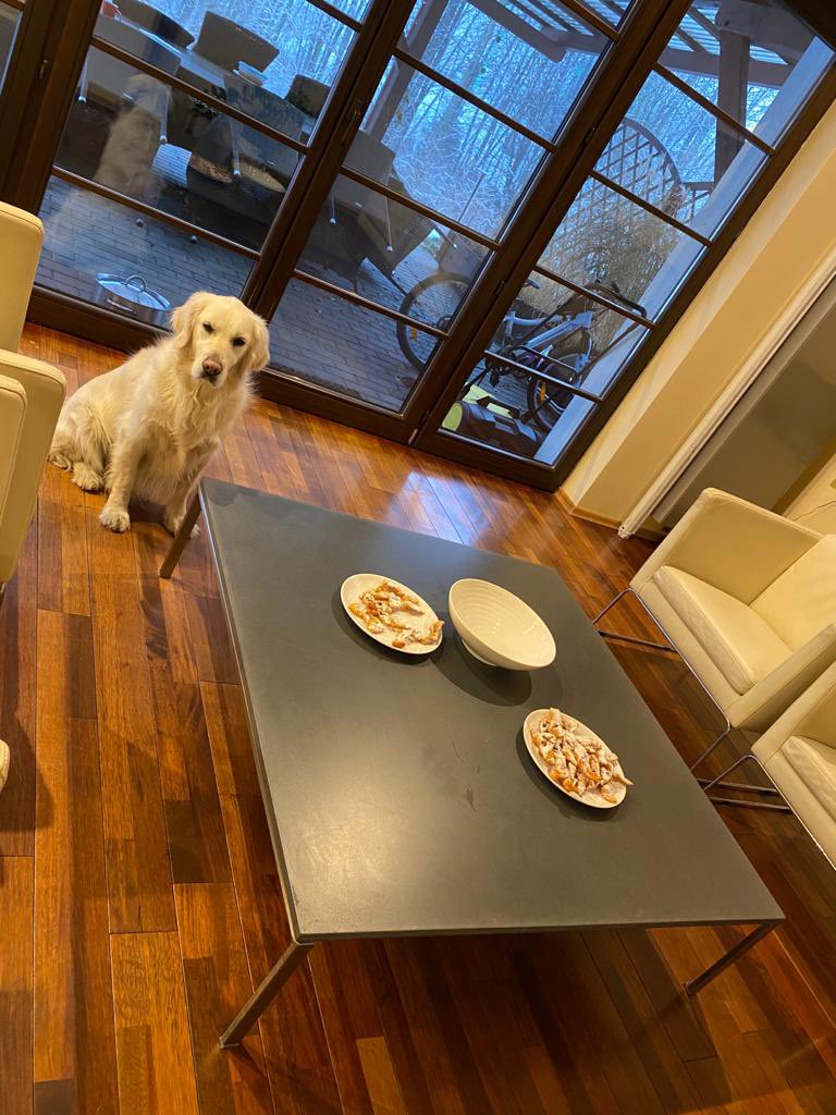 jmajczuk's tweet photo. A to są prawdopodobnie najlepiej strzeżone chruściki w tej części wszechświata, Hila siedzi jak sfinks💪😎🤓😆#Hila #deser #GoldenRetrievers #goldenretriever #deser #chrusty #karnawał #ciastki #łasuch https://t.co/pTmuIlLZGV