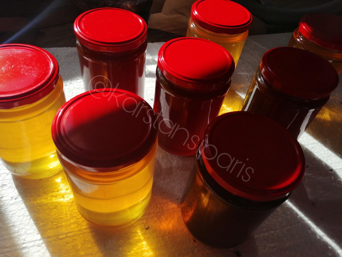 🔸Eskikaşar,
🔸Tazekaşar,
🔸Dil peyniri
🔸Gravyer

🔸 ve diğerleri.

🔸Kars'ın peynirleri, yağları, balları.