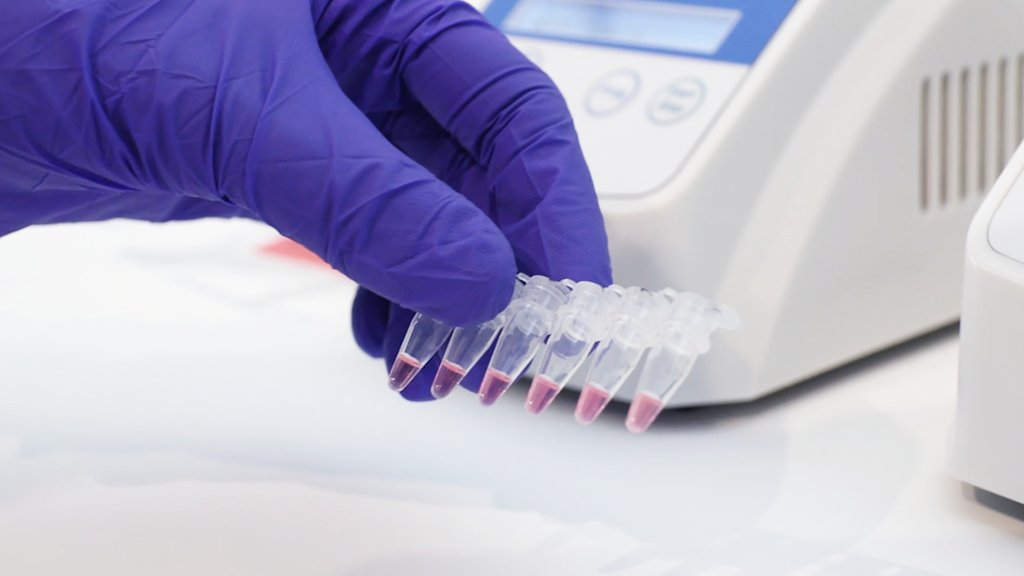 IBM's tweet image. Stopping the spread of COVID-19 is a global problem that demands a truly global solution.

Learn how we’ve developed an open platform to facilitate the delivery of vaccines for people around the world: ibm.co/3oalxVS