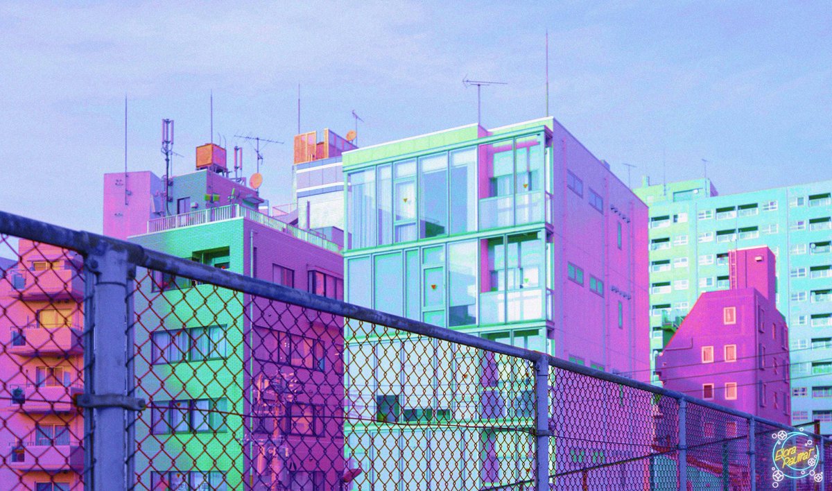 Elora 🌙 tweet media