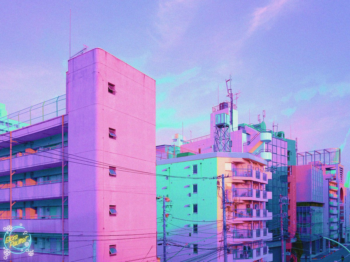 Elora 🌙 tweet media