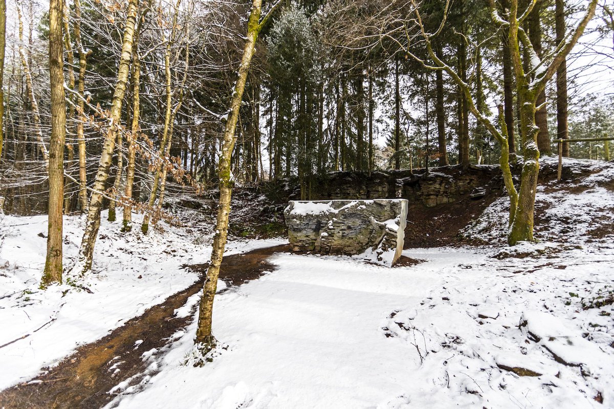 Forest of Dean Sculpture Trail tweet media