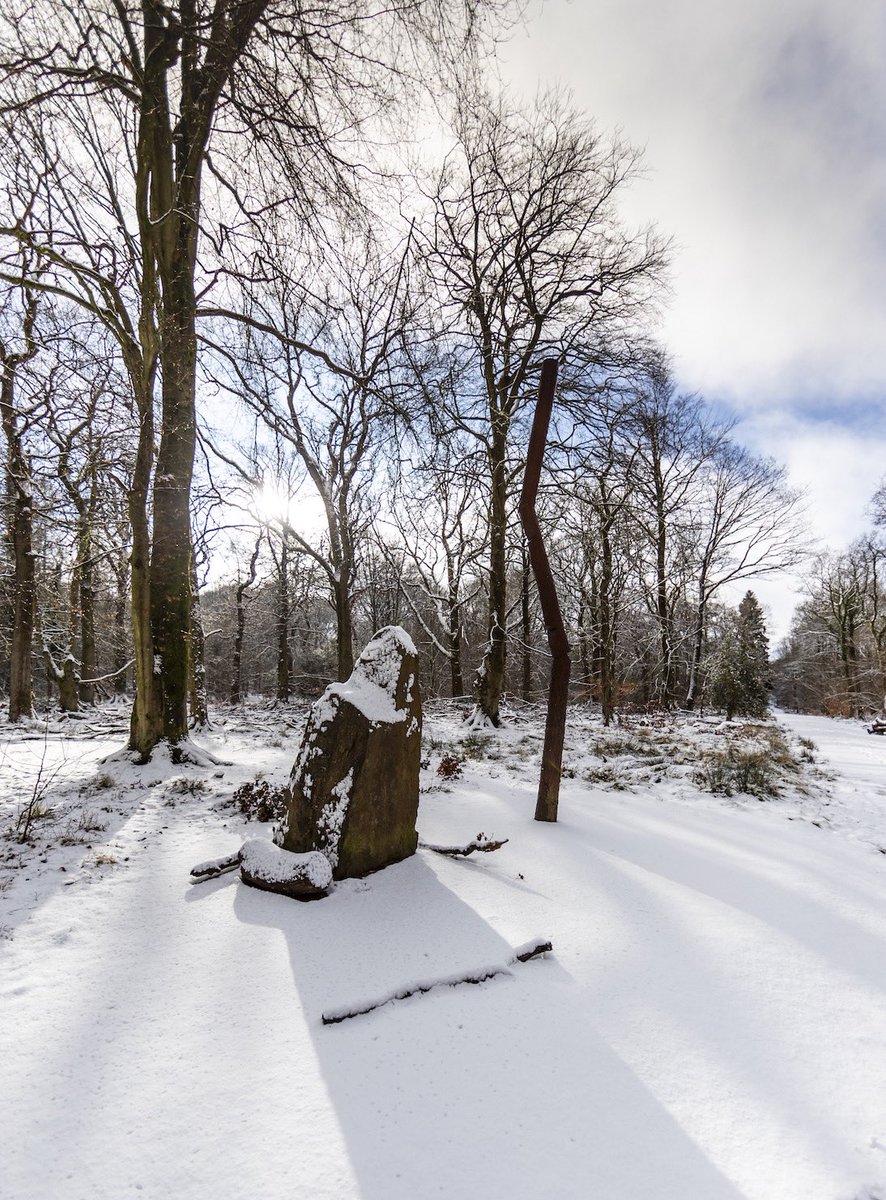 Forest of Dean Sculpture Trail tweet media