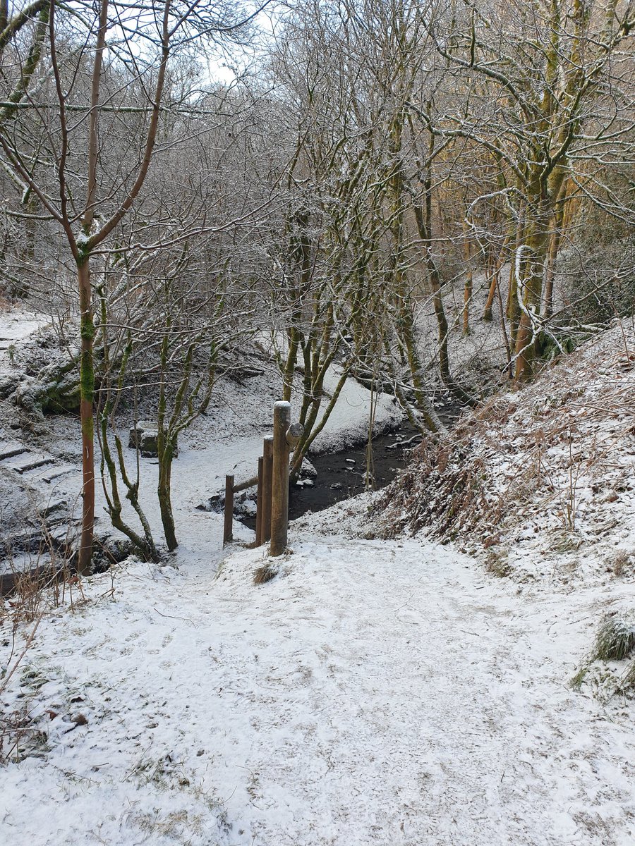 StaceyRedCon's tweet image. Got a few sunny but snowy walks in at the weekend, logging up some miles for #TeamGlasgow for #doddiesaid
@RedConsultUK