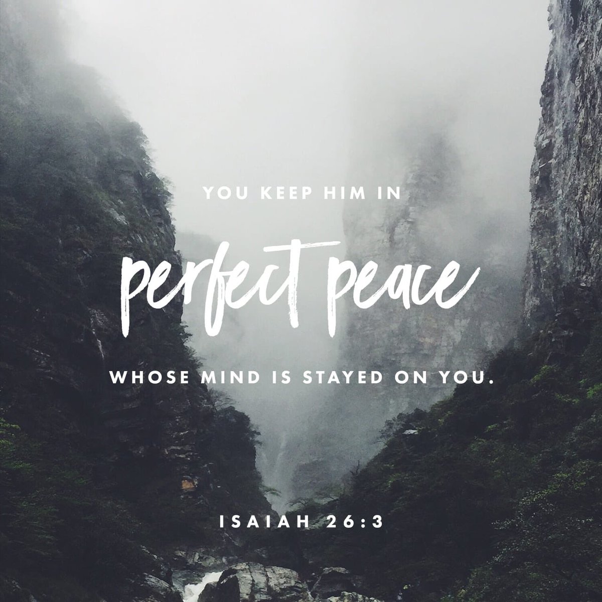 In the midst of a pandemic, “perfect peace” is still very much available to those desire to have it. 

Scripture (Isaiah 26:3 KJV) says about OUR peace — “Thou wilt keep him in perfect peace, whose mind is stayed on thee: because he trusteth in thee.”

Good Morning!!