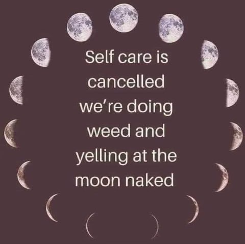 Farrah_Hazel's tweet photo. I giggled aggressively at this https://t.co/r0uf0jBCOv