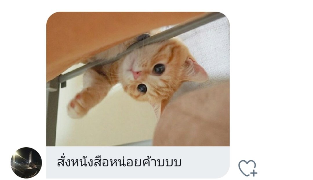 klinnangsue's tweet photo. คนขายหนังสือเจอแบบนี้ทุกวัน
ไม่มีความสุขได้ไง​ 😳 https://t.co/t0NgCDCQqs