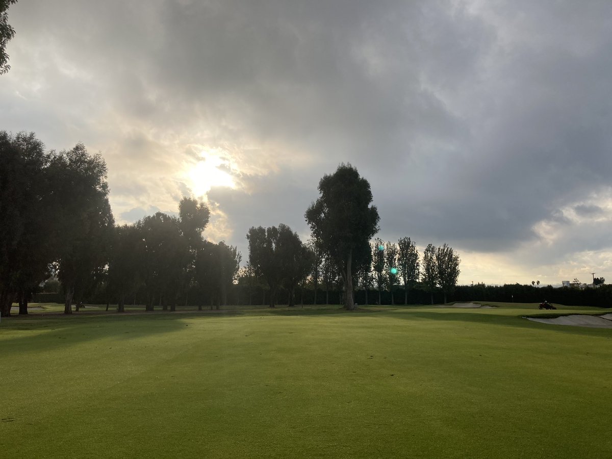Kikuyu looking pretty decent for the middle of January.