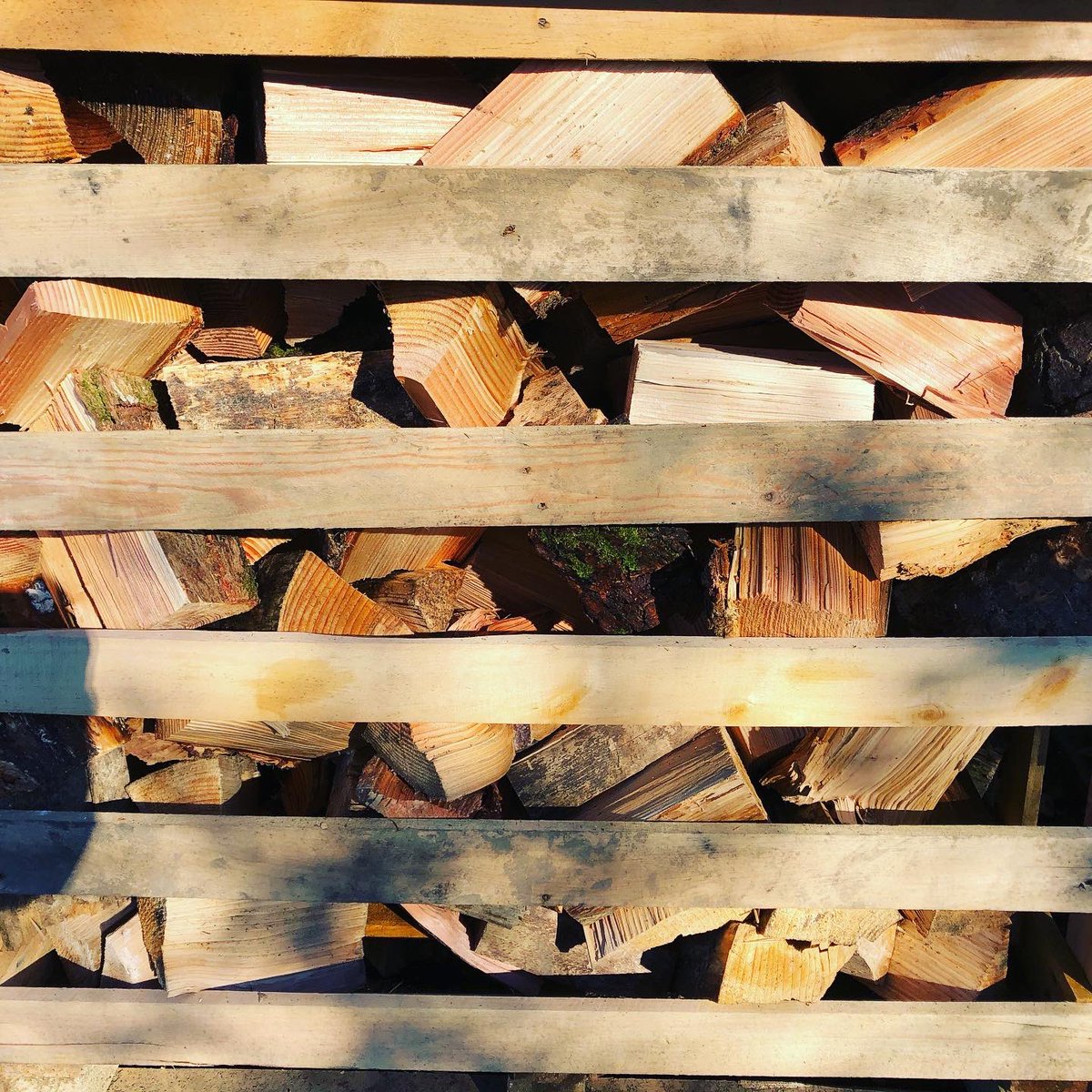 Chopping logs in the winter sun. What a lovely day.
#firewood #stackwood #choppedwood #naturalfire #fire #keepmewarm #winter #logs #cozynights #firewoodseason #fire #woodheat #interier #cornwall #helston #keepthehomefiresburning #softwood #livefire #openfire #cantbeatarealfire