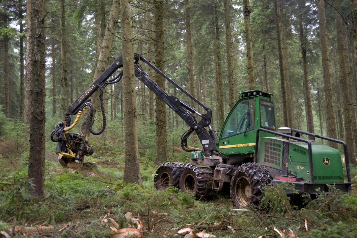 Scottish Forestry tweet media