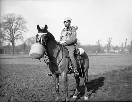 Some of our div cavalry regiments were still horsed, and there was no guarantees that we could reliably move battalions from town to town - let alone redeploy across the country in the event of an invasion.Once more, necessity proved the mother of invention.*gen horse pic* /3