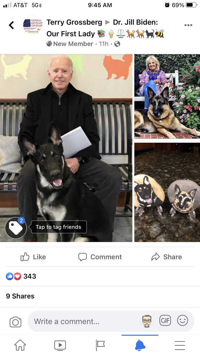 tgrossberg's tweet image. So one of my hobbies is painting people’s pets on rocks. It’s called TerrysPetRockz! I saw that the Biden’s have rescue dogs so I painted them and would love to get them to Jill. Any advice on cutting through the red tape so they can actually get there?
#RescueDogs #JillBiden
