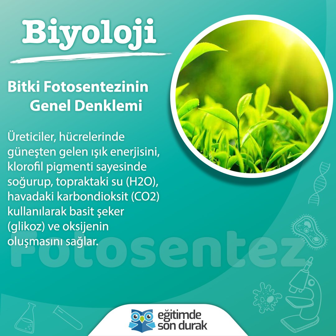 Biyoloji biliyor musunuz? 📚😅
Peki ya fotosentez? 🌱🌞

Fotosentez, bitkiler ve diğer organizmalar tarafından, ışık enerjisini organizmaların faaliyetlerine enerji sağlamak için daha sonra serbest bırakılabilecek kimyasal enerjiye dönüştürmek için kullanılan bir işlemdir.