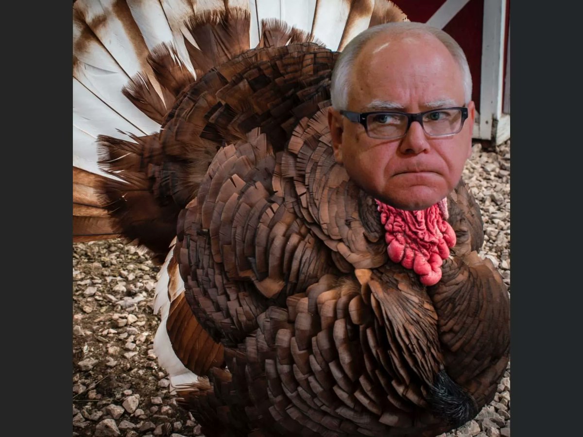 Grand Finale: People waste 60-90 minutes of their time, and have no clue what was just said.Are my kids going back to school? Will my business open fully? Turkey Tim avoids the tough questions.  @GovTimWalz  #mnleg  #OneMinnesota