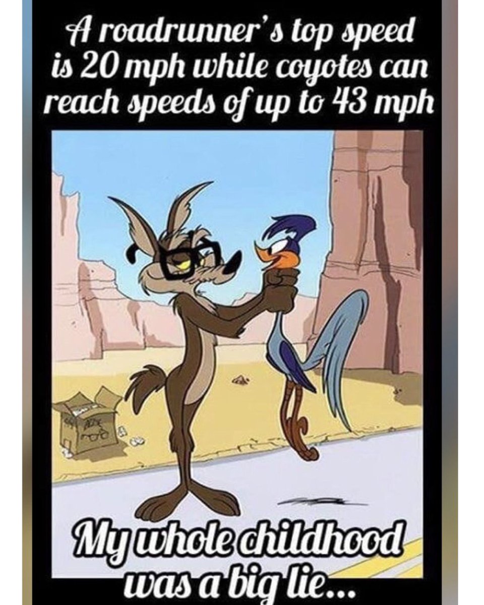 😂 Who remembers this classic cartoon? ⁣
⁣
#EverythingEichler #FredEichler #FullDrawOutfitters #coyote #coyotehunting #Predatorcontrol