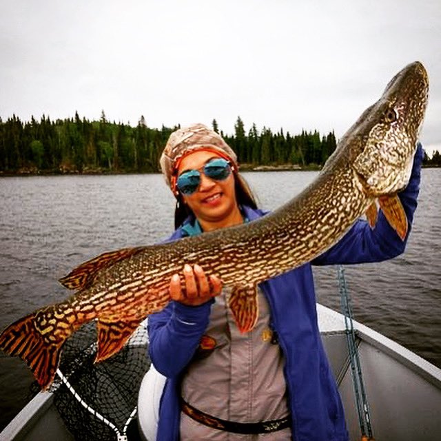 saslodge's tweet photo. Master Angler Monday! Sarann with her MONSTER 42.5 inch pike caught May 30, 2018! 🎣 😎 
#mastermonday #masteranglermonday #pike #jackfish #masterangler #bigfish #sasaginnigak #saslodge #showusyoursas #gonefishing #fish #fishing #flyinfishing #familyfishing #friendsfishing https://t.co/Vg1bqNingx