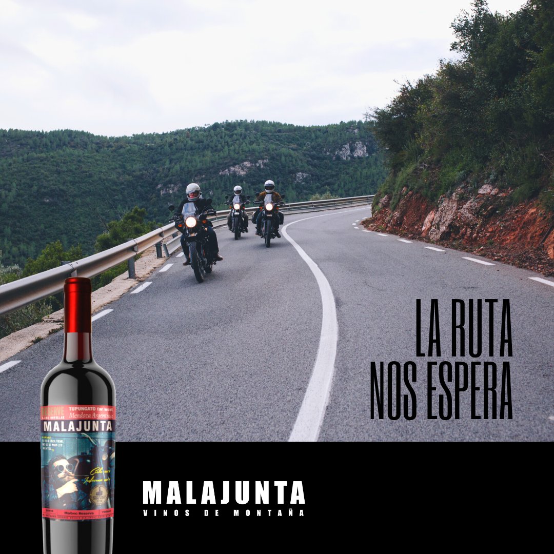 ¿Quién está para una vuelta? Con MALAJUNTA siempre😎👌

#vinodealtura #vino #vinoteca #vineria #vinosylicores #wine #asado #amigos #mendoza #vinomendocino #vinoargentino #winelife #malbec #winelovers #malajuntawine #verano2021