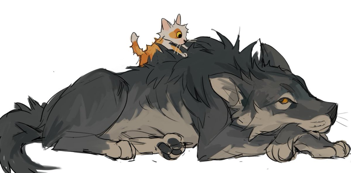 mellowollie's tweet image. little b(r)other