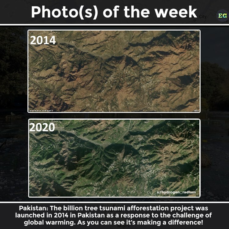 everythinggeog1's tweet photo. There is now also a project here aiming to plant 10 billion trees 🌲 🌳 I don’t know too much about this scheme but the photos are impressive! 🌍 https://t.co/SX6eePjeP9 https://t.co/5mDhIbl2zR