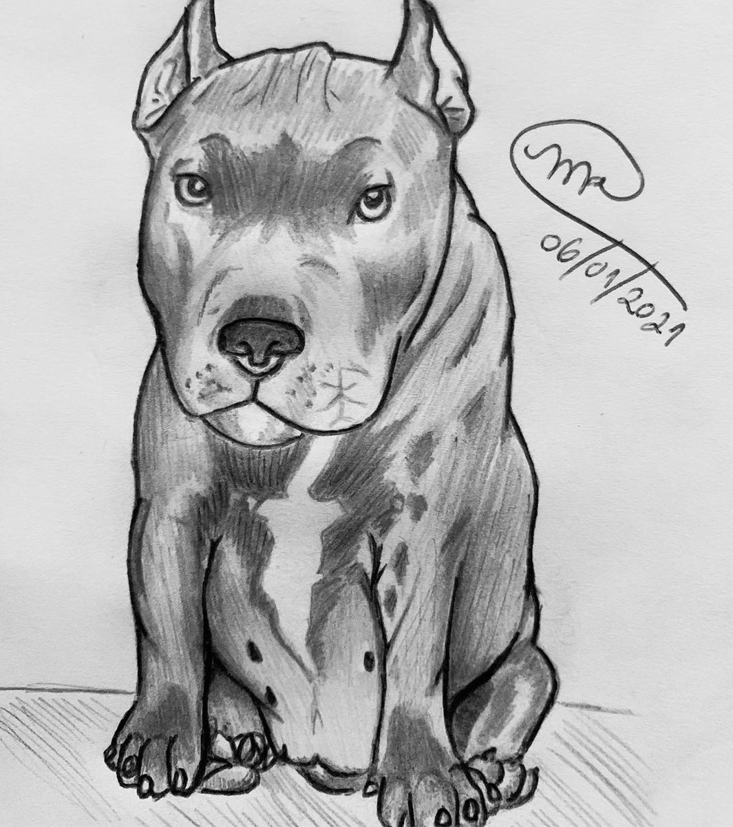 mcosta_draw's tweet photo. @yuri_is_drawing olá, sou o Matheus, tenho 24 anos e moro em Santos, faço uns desenhos e fiz esse twitter para compartilhar meu trabalho, quem poder dar rt no meu fix me ajuda muito e eu fico muito grato! ✨ https://t.co/o1pvwQIa2E