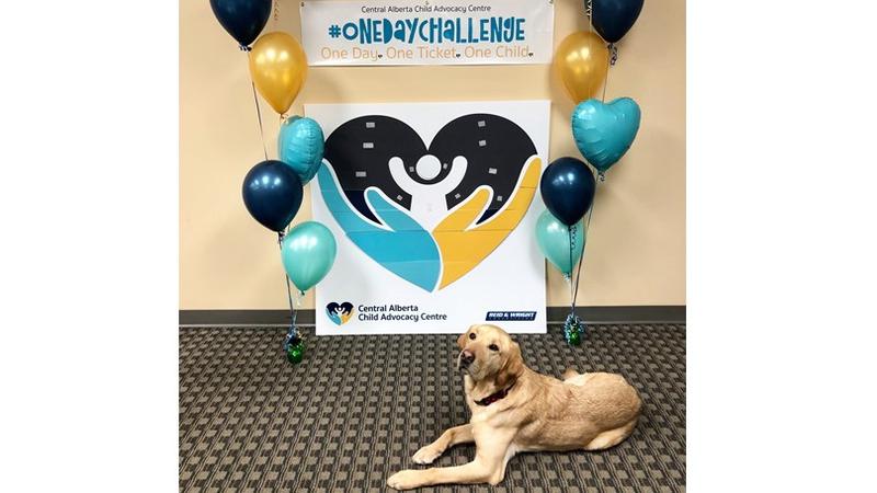 Central Alberta Child Advocacy Centre ‘One Day Challenge’ exceeds goal dlvr.it/RrJxtV