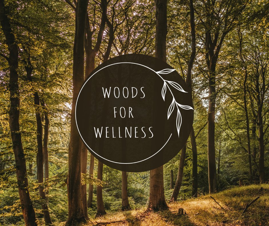 See what free holistic support groups sessions we are hosting over the next few months, as part of our #WoodsForWellness project @TheWoodsPresent Be safe, Feel supported thewoodland.co/whats-on