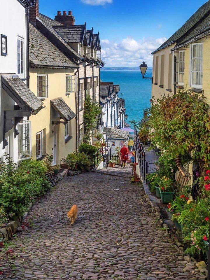 Aww, can you not just see the characters of #Sanditon traipsing down this hill towards a sandy cove for a picnic? 🤩 #Sidlotte #SanditonSquad #seaside #BeautifulBritain 🧺 🏖 🌊 💋 💙

Main Street in the beautiful little village of Clovelly in Devon.
Photo by Bob Radlinski.