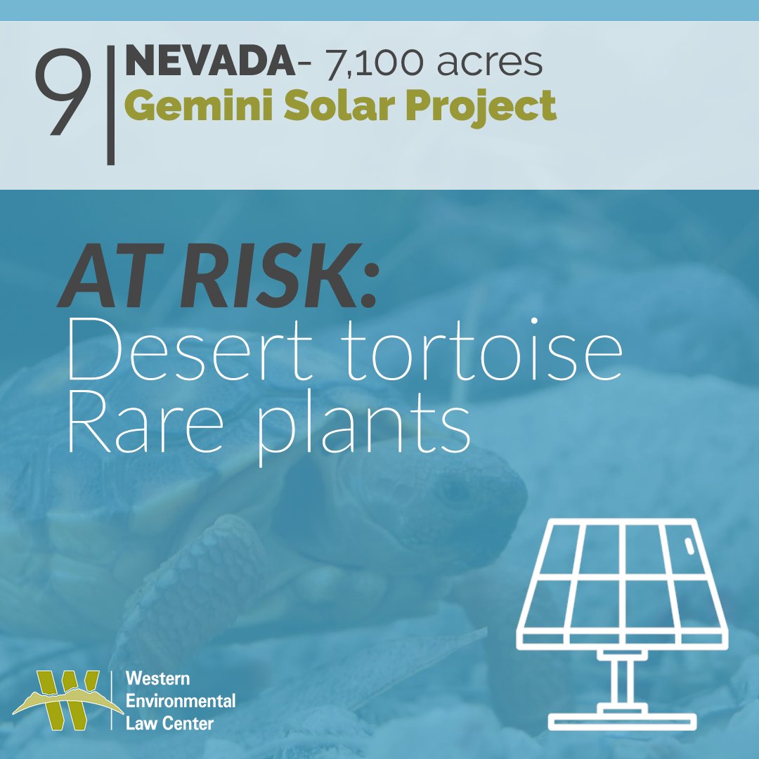 9/9: Gemini Solar Project ROD – 7,100 acres, NV*Threatened plants*Threatened desert tortoise*Inadequate alternatives https://www.federalregister.gov/documents/2020/05/21/2020-10922/notice-of-availability-of-the-record-of-decision-for-the-proposed-resource-management-plan-amendment