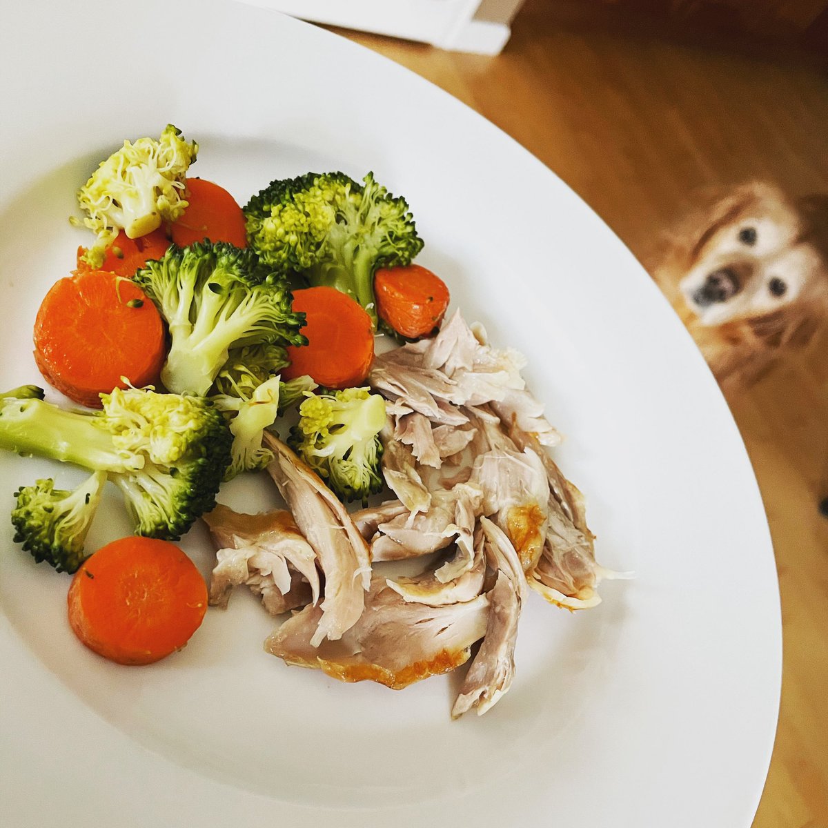 RunEatBeHappy's tweet photo. When lunch is so good, everyone in the house wants some...
Leftover steamed veggies
Rotisserie chicken
One salivating doggy!
#smartdog #Shadtastic #lunch #food #eatclean #workoutsdone✔️ #legday #pelotoncycle #yoga #mondaymotivation #getitdone https://t.co/WopkKlw4jB