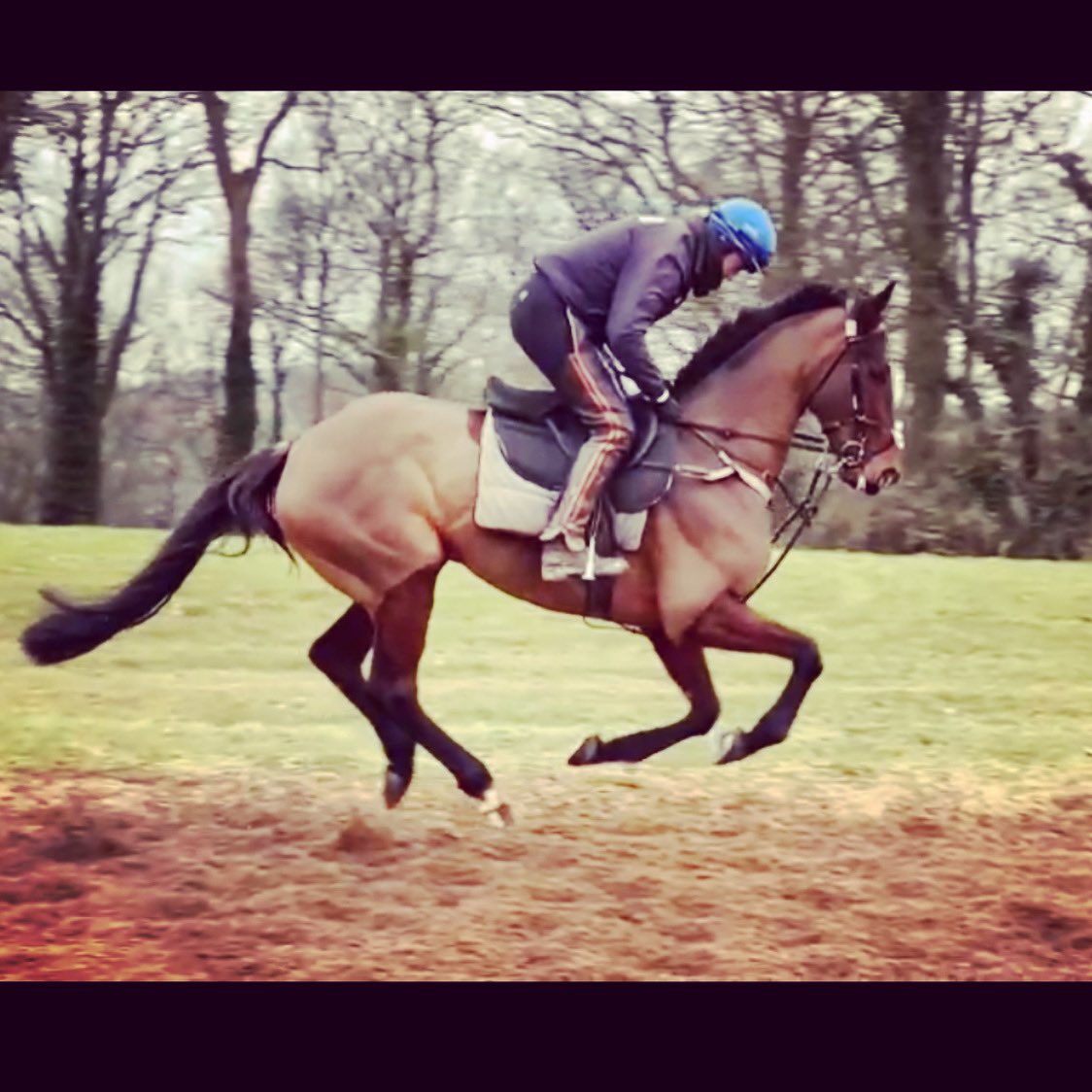 Cagwdressage's tweet photo. #TeamTizz #DoItForKim https://t.co/fnSmFQmsbB