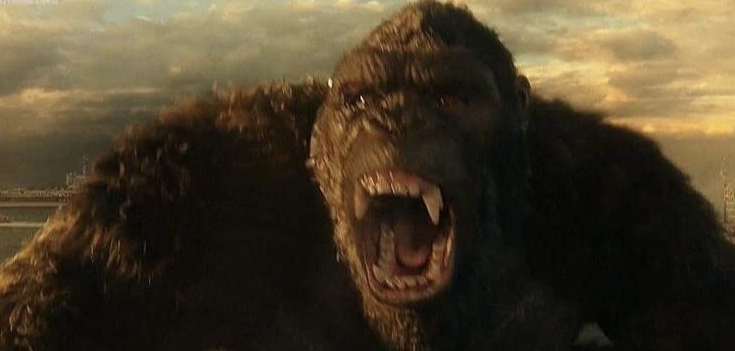 Godzillatw's tweet photo. 哥吉拉大戰金剛{2021}完整版
[4K]▷哥吉拉大戰金剛 線上看完整版ZH
哥吉拉大戰金剛- 動漫- 高清免費線上看 HD-4K (anime)
哥吉拉大戰金剛-完整版- 高清免費線上看 HD-4K
哥吉拉大戰金剛完整版線上看(2021)HD-4K
哥吉拉大戰金剛-完整版- 下載 HD-4K
哥吉拉大戰金剛完整版Godzilla vs. Kong 2021 HD 4k https://t.co/qzVpGlXj3E